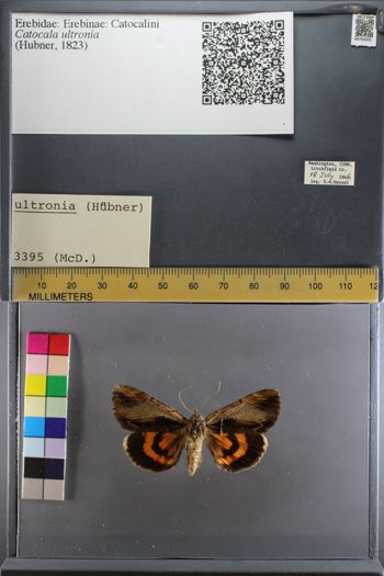 Media type: image;   Entomology 750201